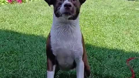 BEAT THE HEAT