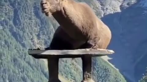 wonders of the world