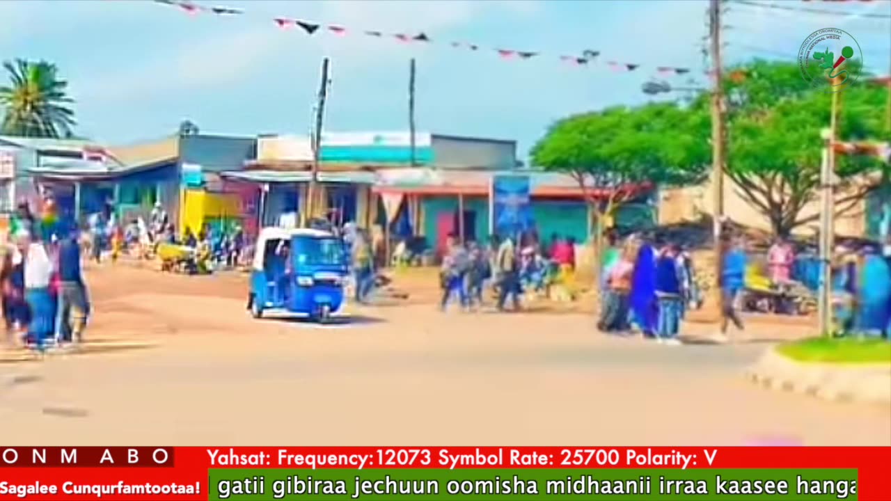 Oduu Ganama ONM-ABO Onkoloolessa 21-2025 itti dhiyaadhaa!