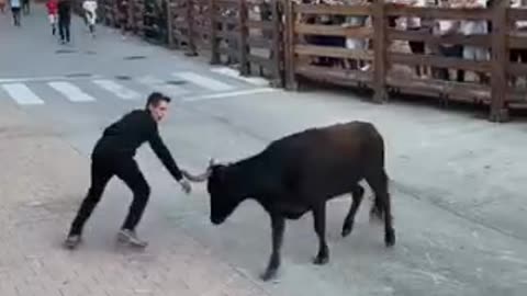 Funny videos 😂 of 🐂 bull