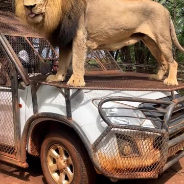 We have reached your destination