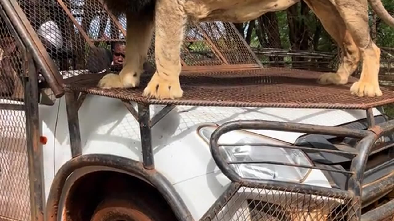 We have reached your destination