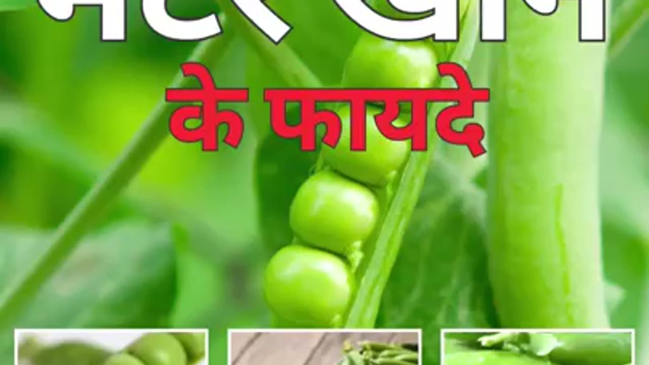 Matar Khane Se Fayde