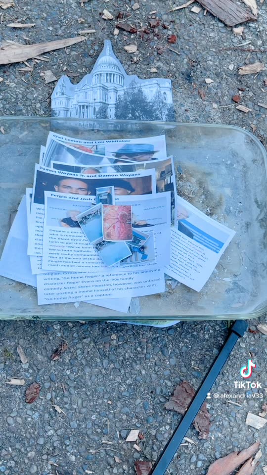 Tim Rifat TikTok Videos