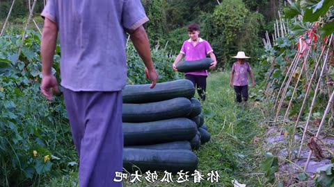 Harvesting Fresh Vegetables by Hand | Village Farming Life & Organic Crop Cutting"