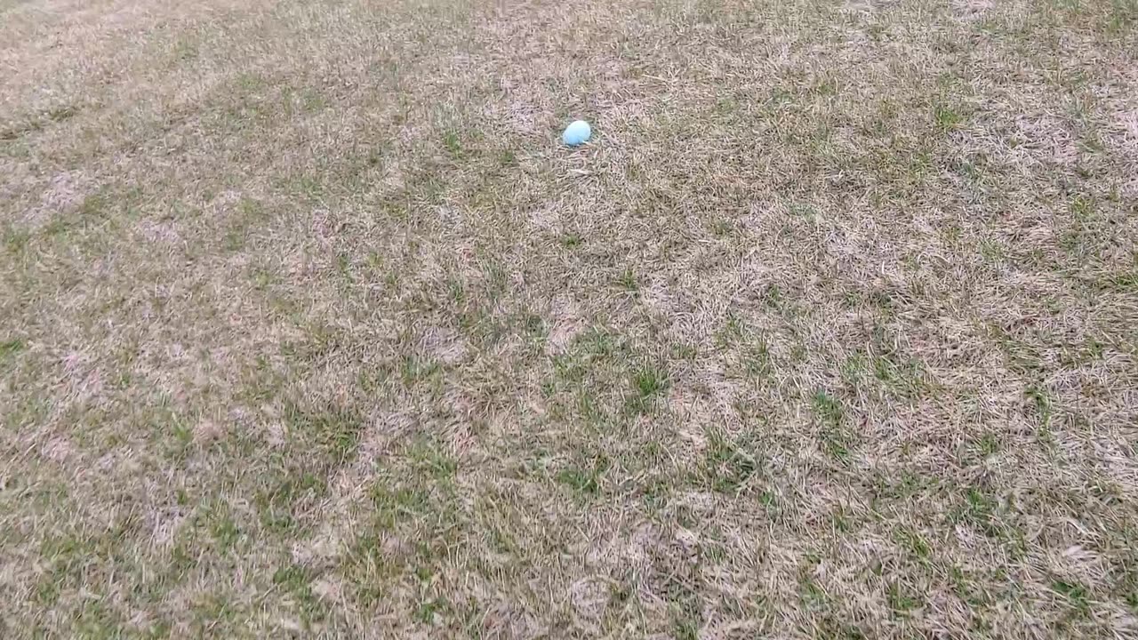 FIRST SHORT VLOG