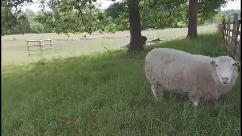 😂🌞 Last Summer's Best Day Ever? | FunFM