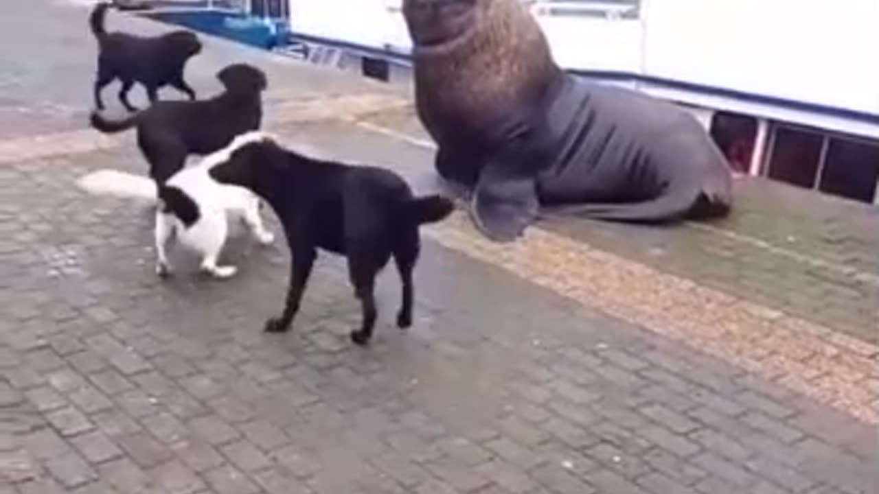 wonders of the world