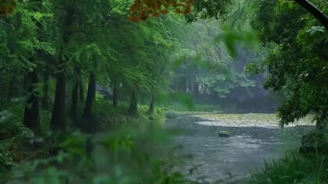 The beautiful little river is raining