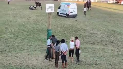 2da. Parte de las Actividades en el Ruedo - Patria Gaucha 2025 - Tacuarembó, tarde del 20 de marzo