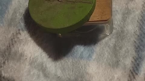 😨👻 Haunted Music Box Spooks Me! I Don't Know Its Past | TheHauntingHour