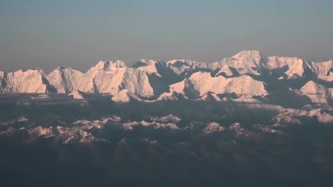 The Global Cryptid Sightings Sasquatch, Yeti, Bunyip, Ningen, and More