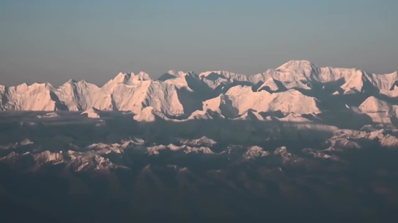 The Global Cryptid Sightings Sasquatch, Yeti, Bunyip, Ningen, and More