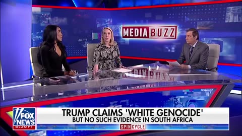 'BLATANT LIE': Democratic strategist questions credibility of South Africa's 'white genocide'
