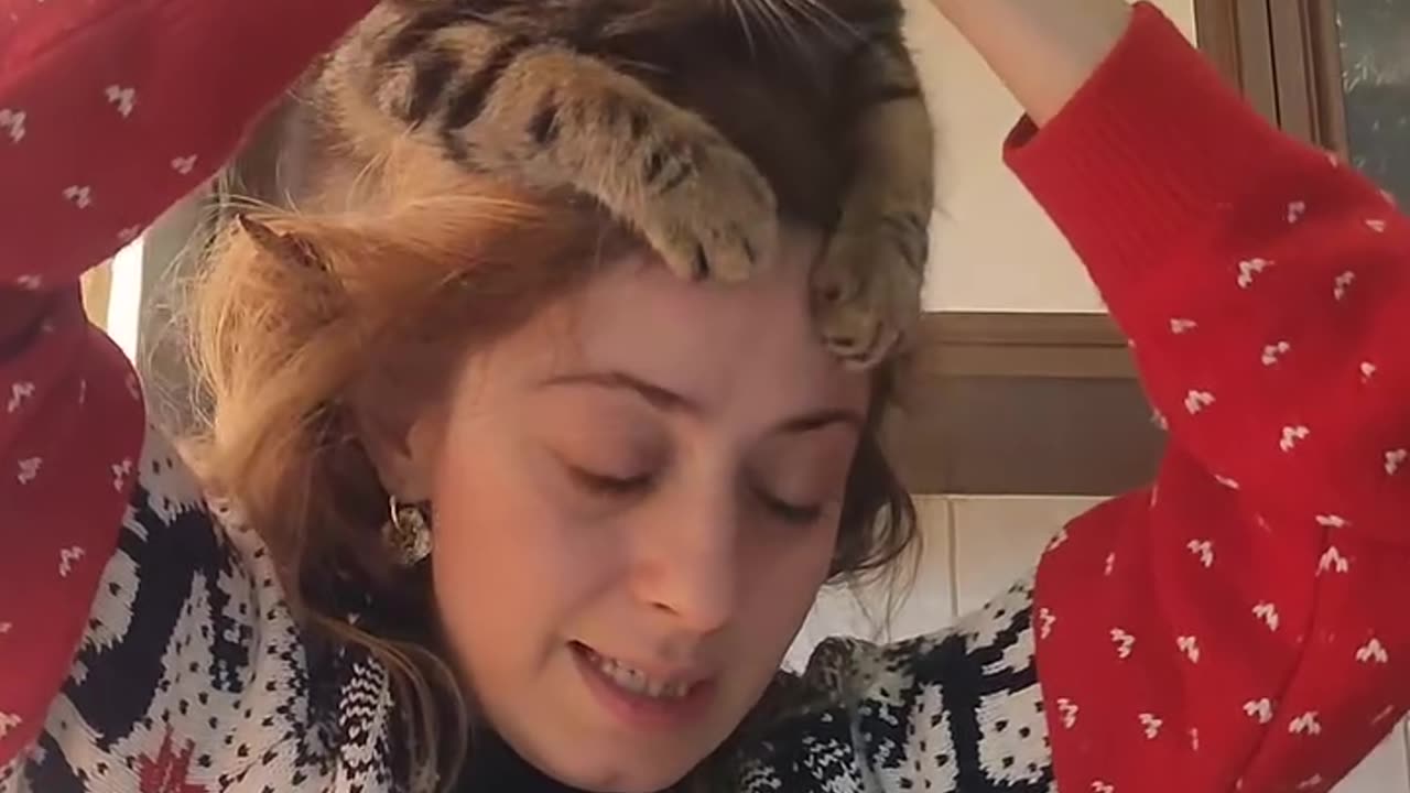 "My Cat Sat on My Head While I Worked… and Still Demanded Attention!