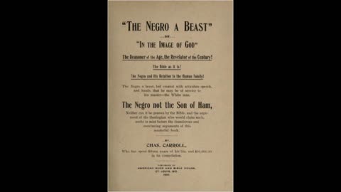 The Negr0 a Beast or in the Imagine of God. Chapter 10, part 2.