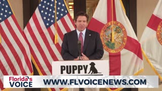 Florida Gov. Ron DeSantis is proposing statewide laws to protect dogs from abuse, targeting breeders