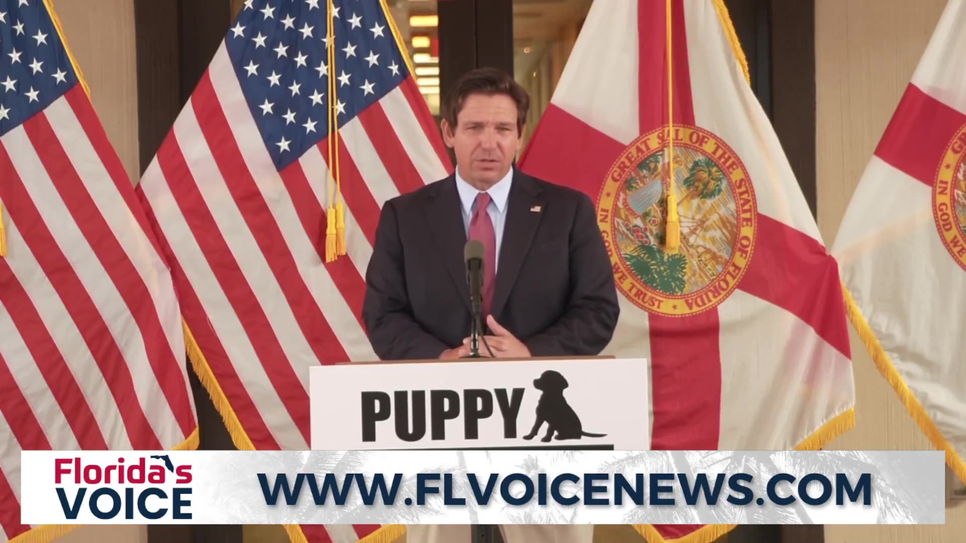 Florida Gov. Ron DeSantis is proposing statewide laws to protect dogs from abuse, targeting breeders
