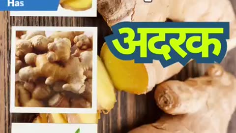 Ginger Health Benefits