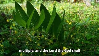 Deuteronomy Chapter 30