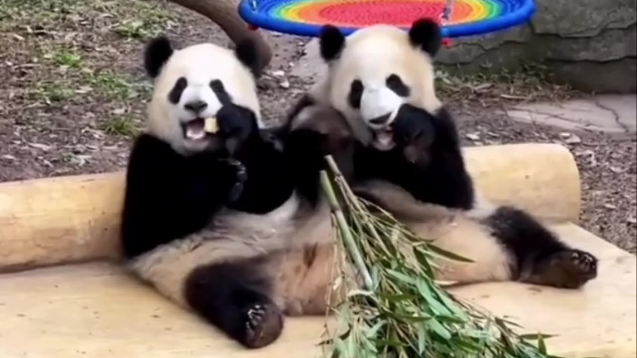 Friendship