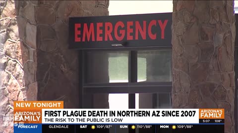 Arizona patient dies in emergency room from plague
