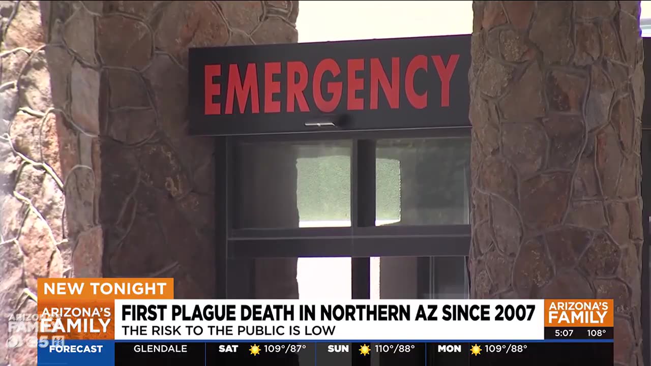 Arizona patient dies in emergency room from plague