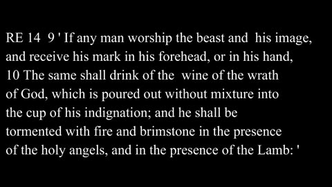 What does the beast represent in the book of revelation
