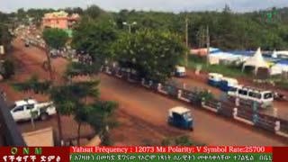 ሰኔ 11-2025 ONM-ABO እለታዊ የኦሮሞ ነፃነት ሰራዊትና የኦሮሚያ ውሎ!