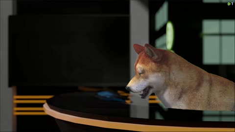 Calling Scammers Live | 5th May | Rumble Premium