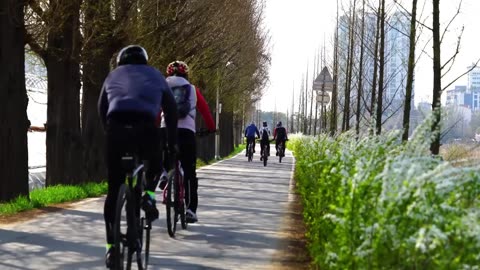 How E-Bikes Work; The Silent Power Behind Electric Bicycles