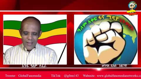 "በዲያስቦራው በኩል የሚታዩ ፋኖን የመከፋፈል ሂደት በቶሎ ሊቆም ይገባል" አንዱ ዓለም ተፈራ
