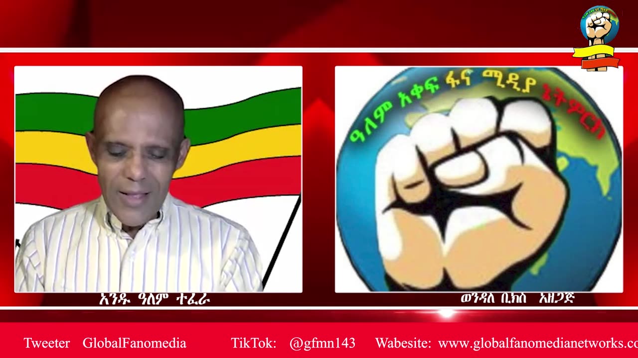 "በዲያስቦራው በኩል የሚታዩ ፋኖን የመከፋፈል ሂደት በቶሎ ሊቆም ይገባል" አንዱ ዓለም ተፈራ