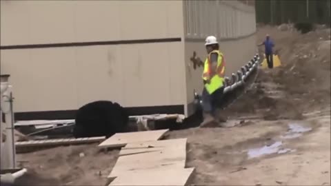 😂🐻 Oilfield Bear Prank! | FunFM