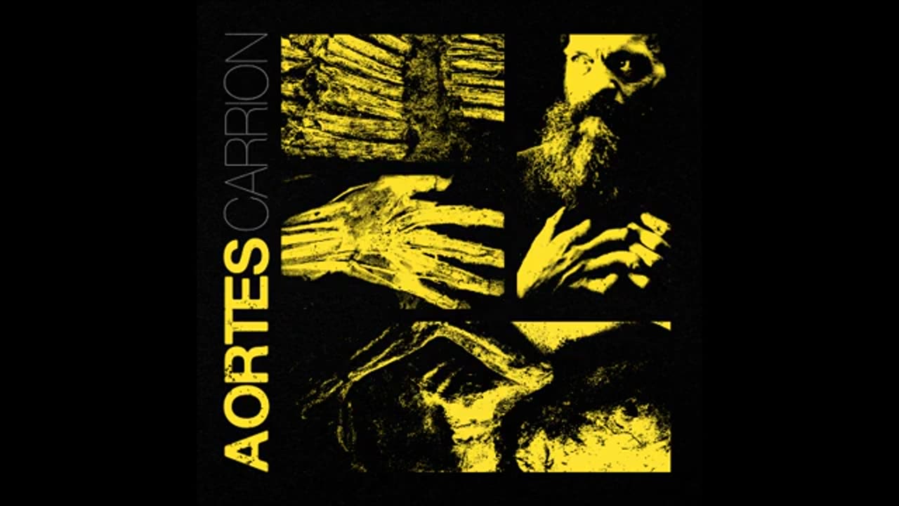 Aortes - Carrion