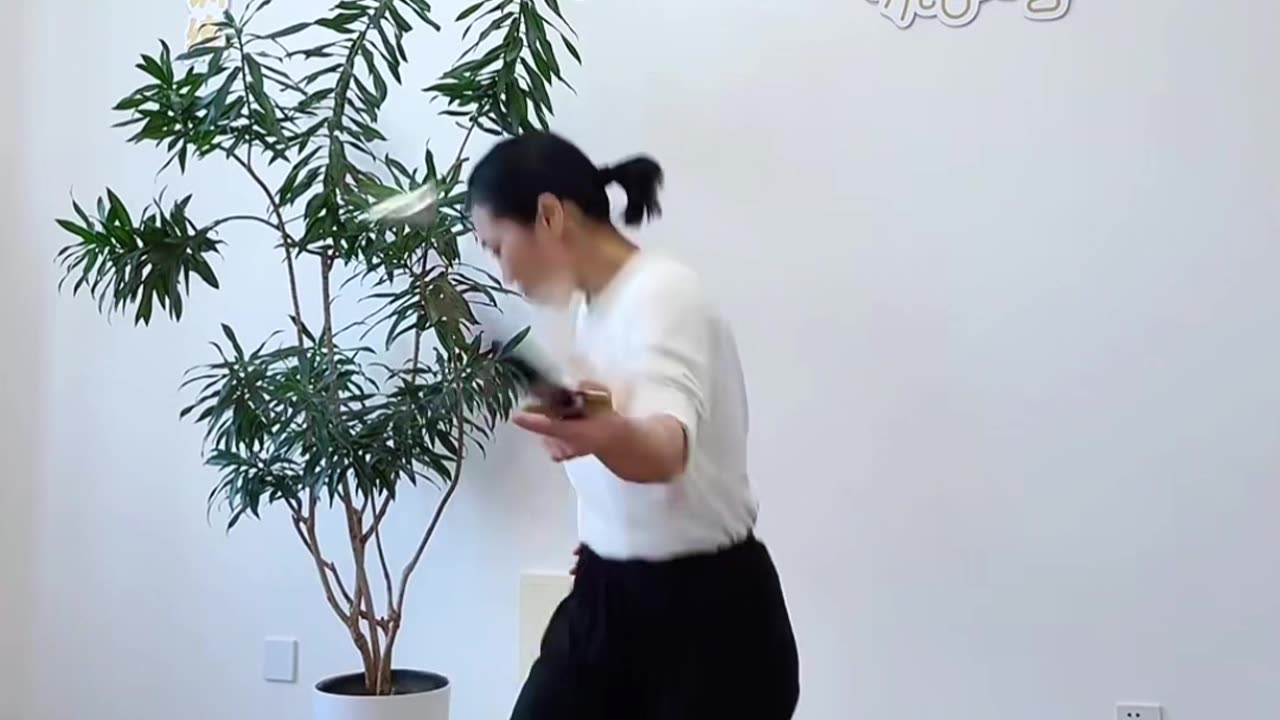 684.千軍萬馬