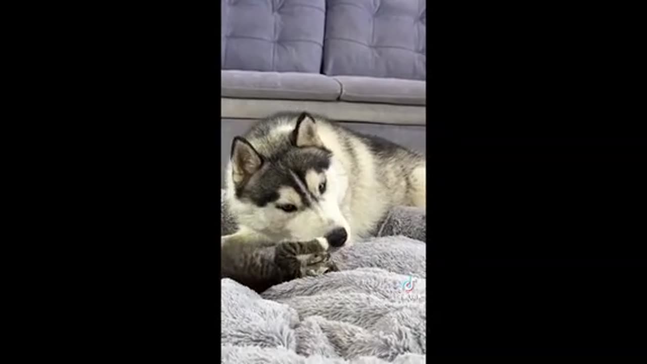 Need a laugh here and there ;)