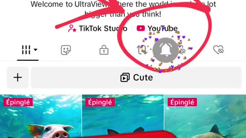 Sub to my YouTube 😎 #shorts #youtube Click on my profil 🍺😎🍺
