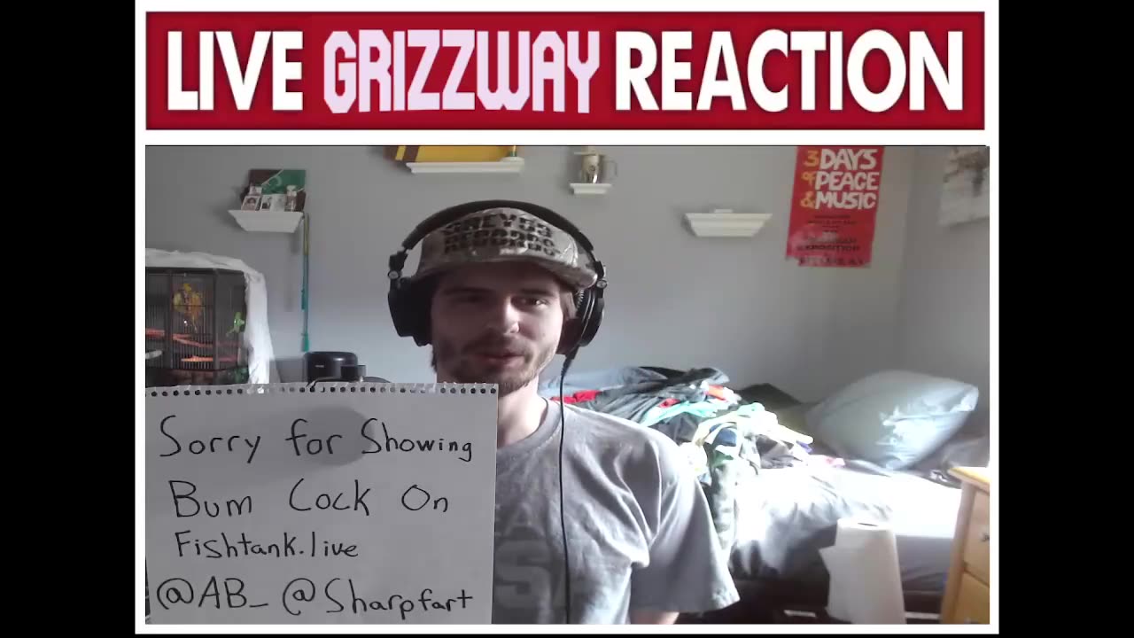 Aerogrizz (Grizzway)