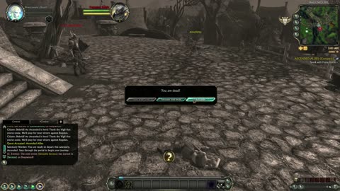 BtwStinger & MrsBtws The Gaming Spouses