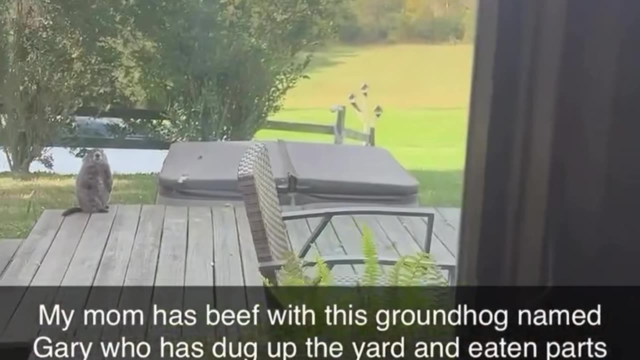 He’s just taunting her at this point 😂