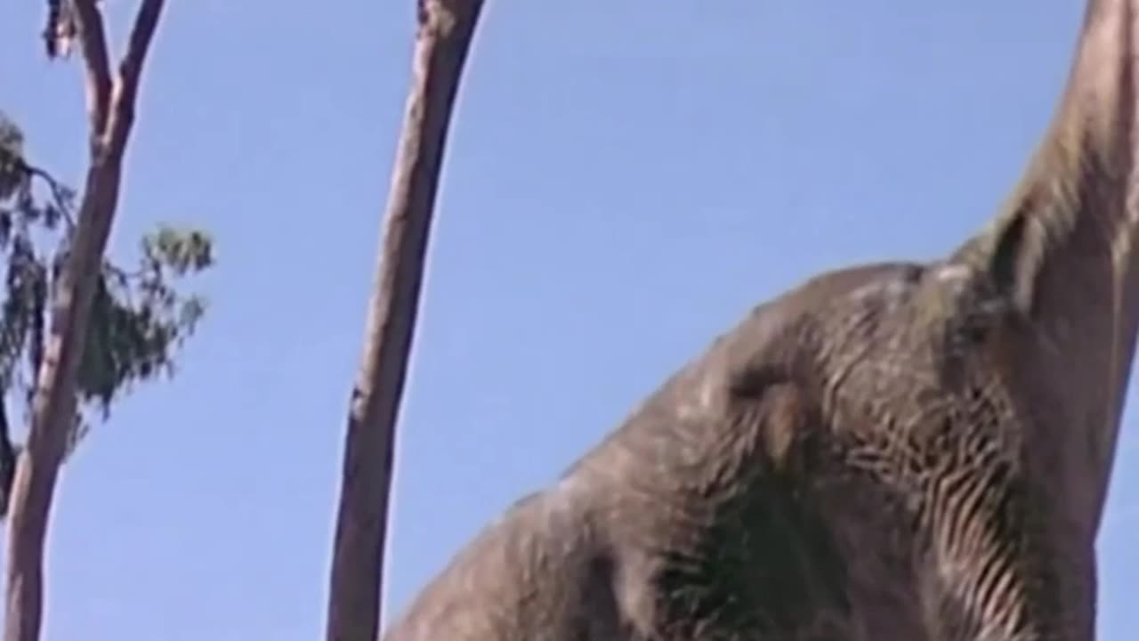 Ancient Depictions of Sauropod Dinosaurs: A Worldwide Phenomenon