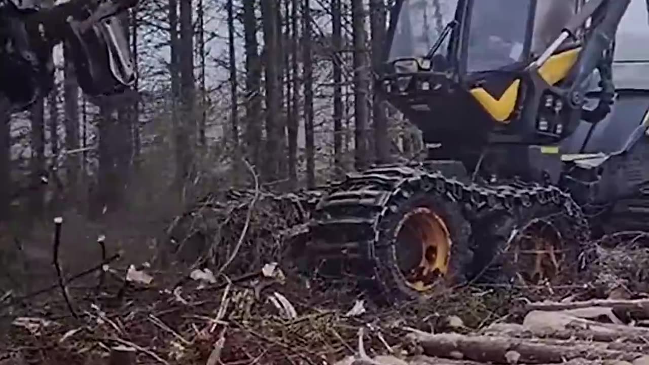 Timber Terminator 3000