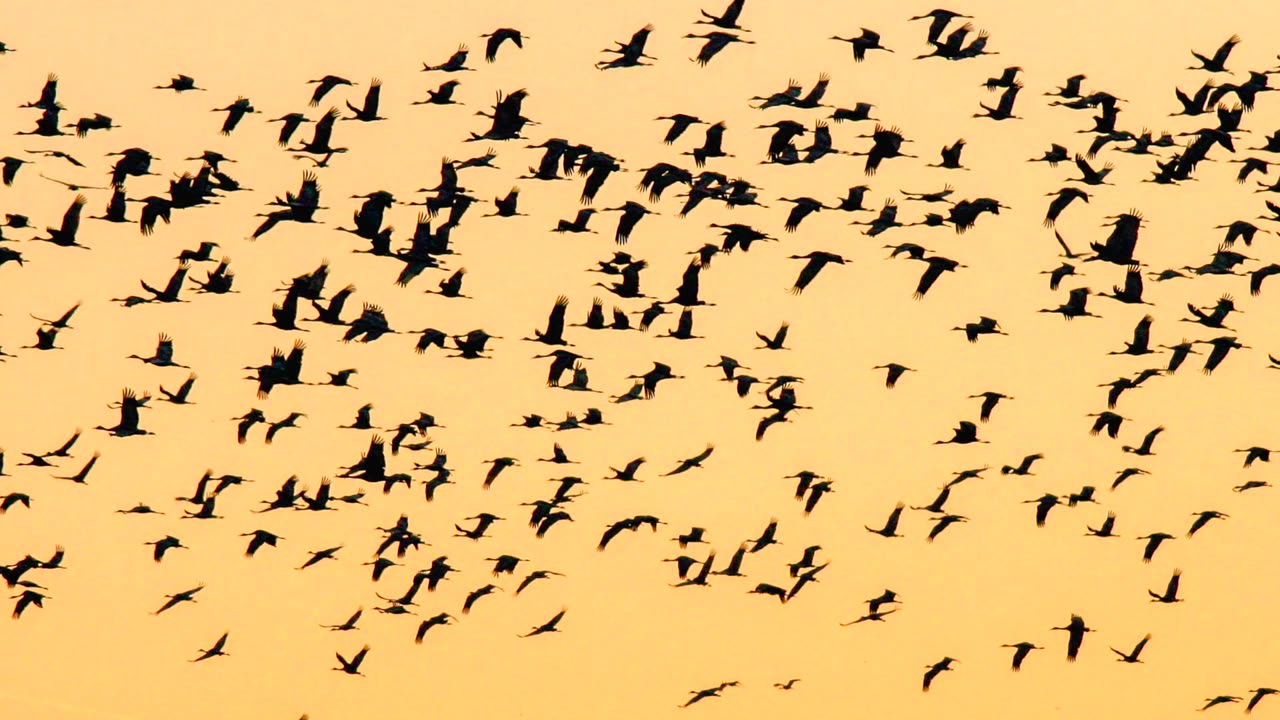 All Belongs to God: May He be Blessed Forever