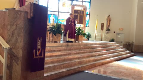 Father Martin Dunne Homily 12/7/25 Matthew 3:1-12