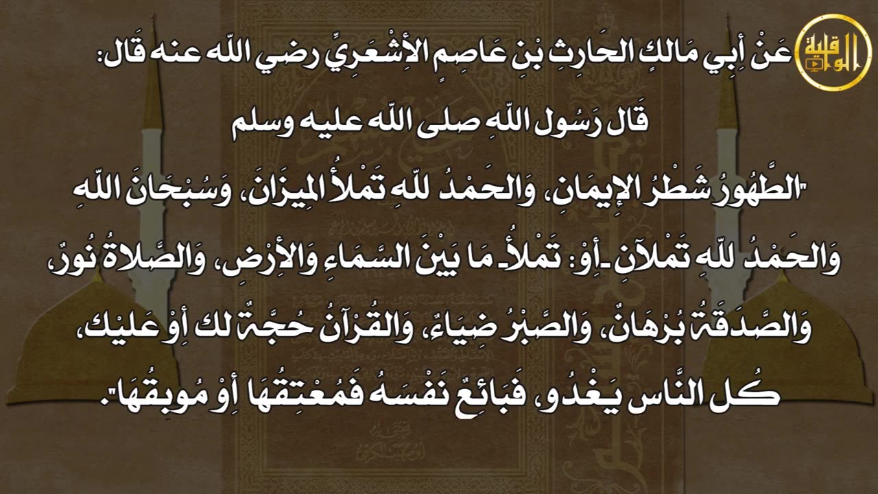 وما ينطق عن الهوى 11 حجة لك أو