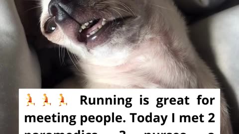 Meeting new people through running gone wrong