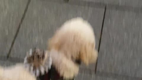 Open door manually, exit building