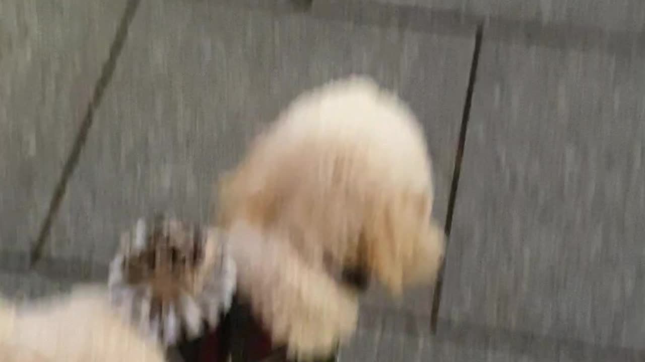 Open door manually, exit building