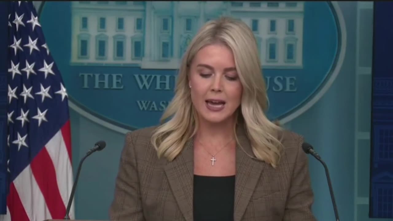 Karoline Leavitt Breaks Down TikTok Deal